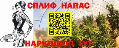 индика Кумертау